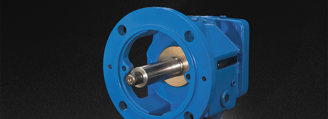 Pump with Inpro/Seal Bearing Isolator